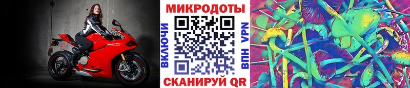 Купить  Омутнинск  Псилоцибиновые грибы GOLDEN TEACHER 